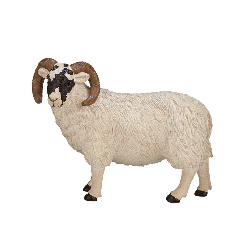 ギャラリービューアに画像をロードする, Mojo farmland zwartkopschaap ram - 387081