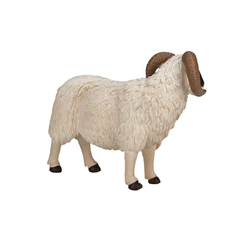 ギャラリービューアに画像をロードする, Mojo farmland zwartkopschaap ram - 387081