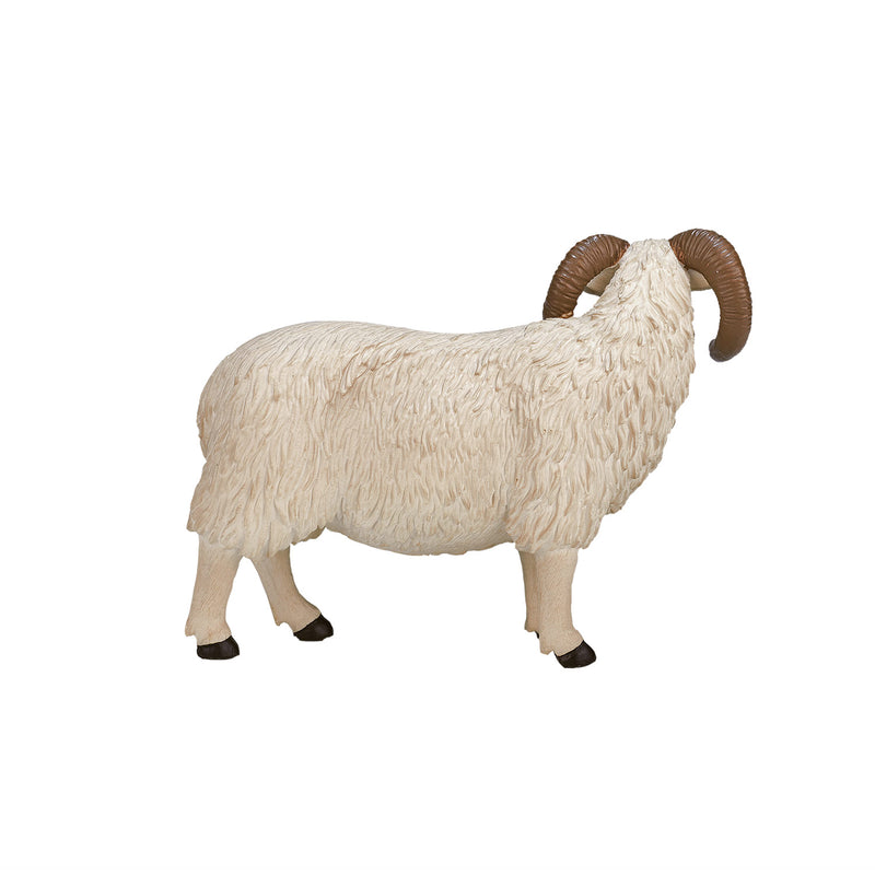 ギャラリービューアに画像をロードする, Mojo farmland zwartkopschaap ram - 387081