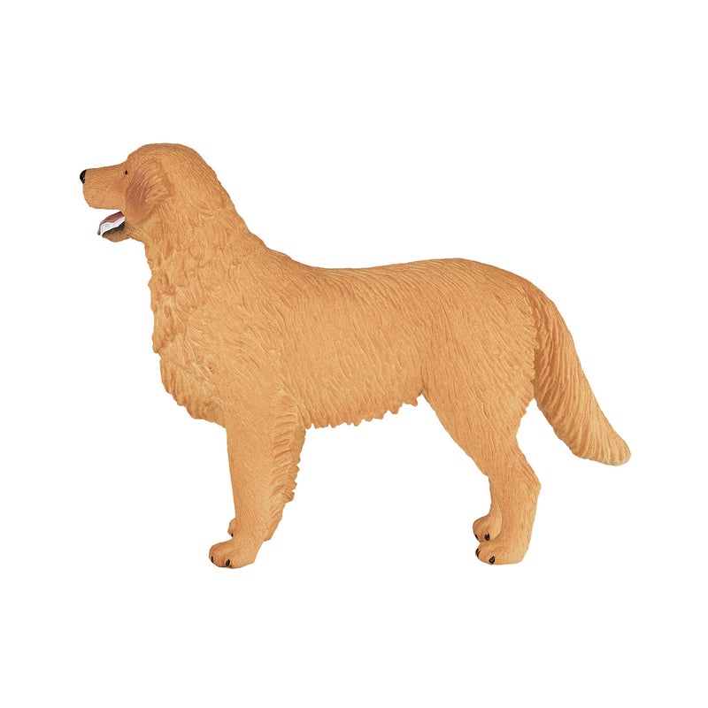 Afbeelding laden in galerijviewer, Mojo farmland golden retriever - 387198