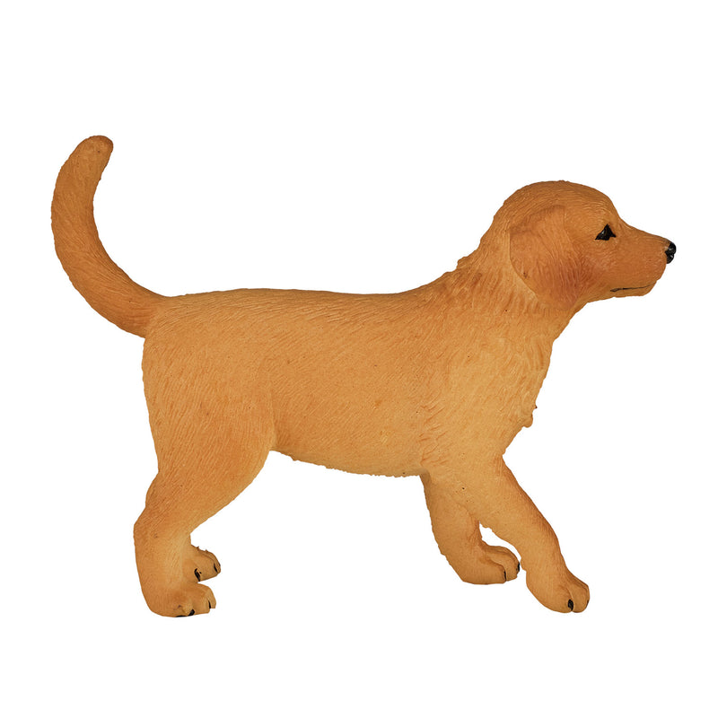 Afbeelding laden in galerijviewer, Mojo farmland golden retriever puppy - 387205