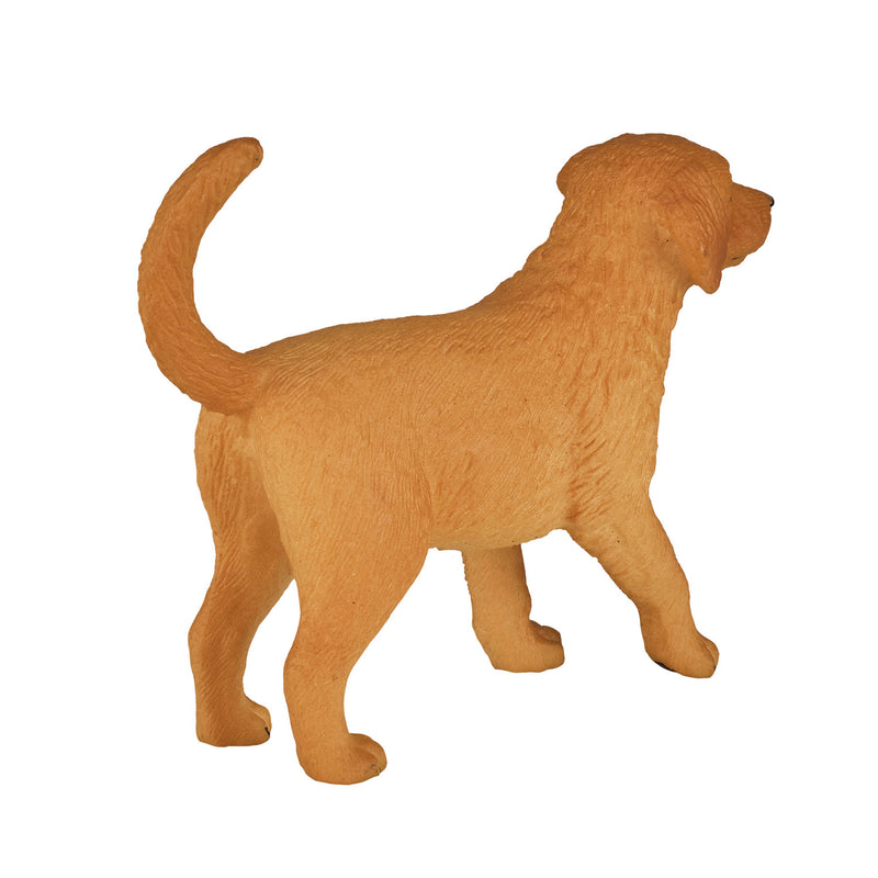 Afbeelding laden in galerijviewer, Mojo farmland golden retriever puppy - 387205