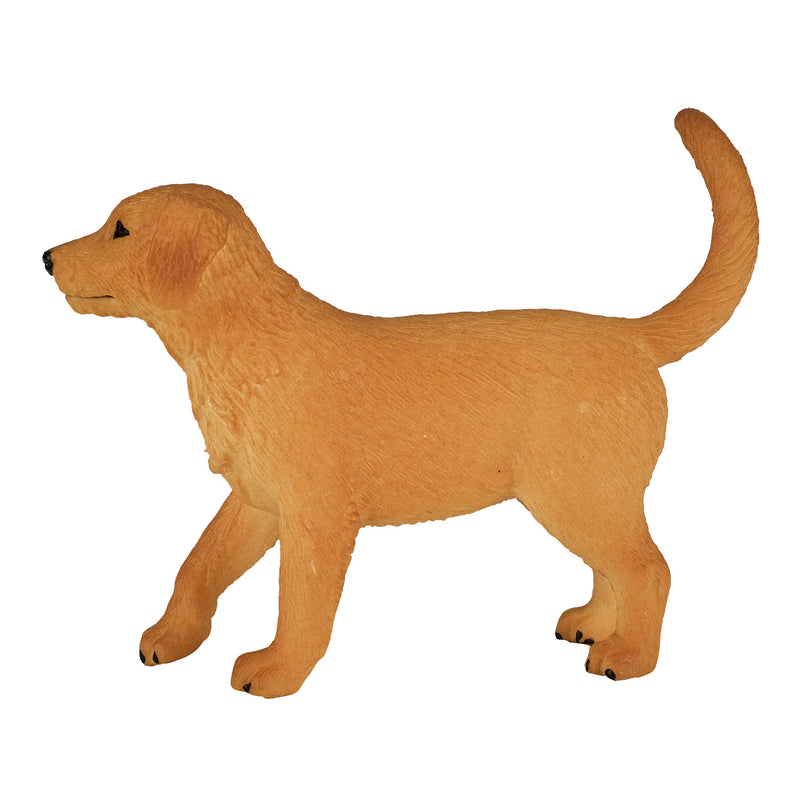 Afbeelding laden in galerijviewer, Mojo farmland golden retriever puppy - 387205