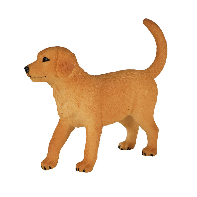 Afbeelding laden in galerijviewer, Mojo farmland golden retriever puppy - 387205