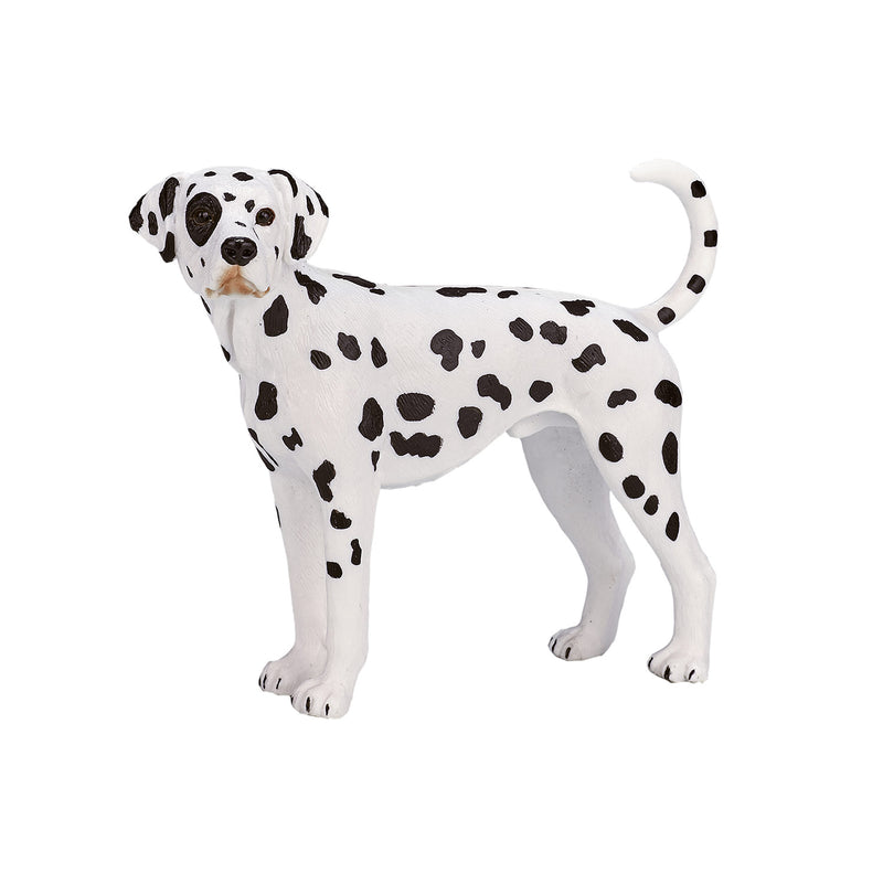 ギャラリービューアに画像をロードする, Mojo farmland dalmatiër - 387248