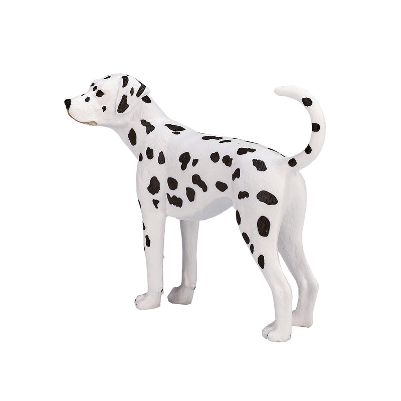 ギャラリービューアに画像をロードする, Mojo farmland dalmatiër - 387248