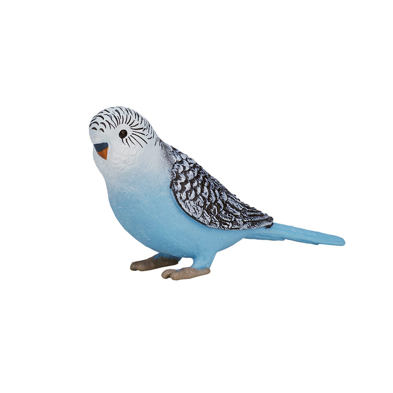 Load image into Gallery viewer, Mojo farmland grasparkiet blauw - 387292