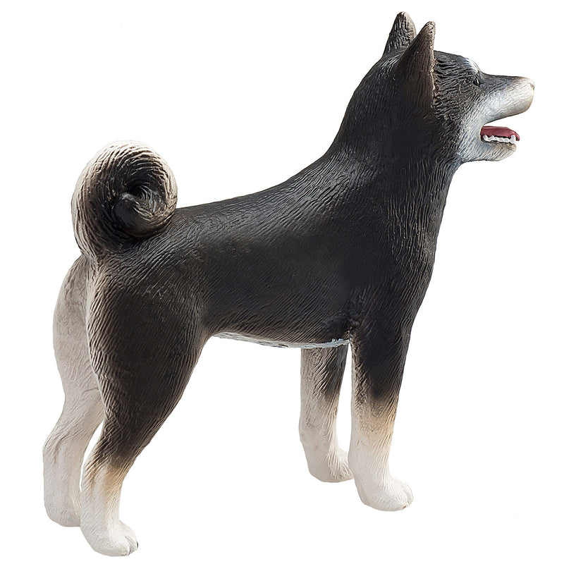 ギャラリービューアに画像をロードする, Mojo farmland shiba inu zwart - 387363