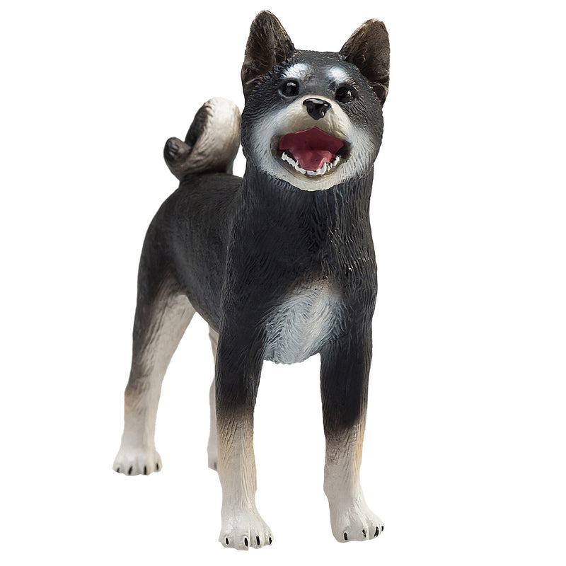 ギャラリービューアに画像をロードする, Mojo farmland shiba inu zwart - 387363