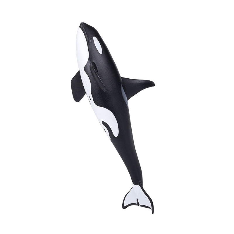 ギャラリービューアに画像をロードする, Mojo sealife mannelijke orka - 387114