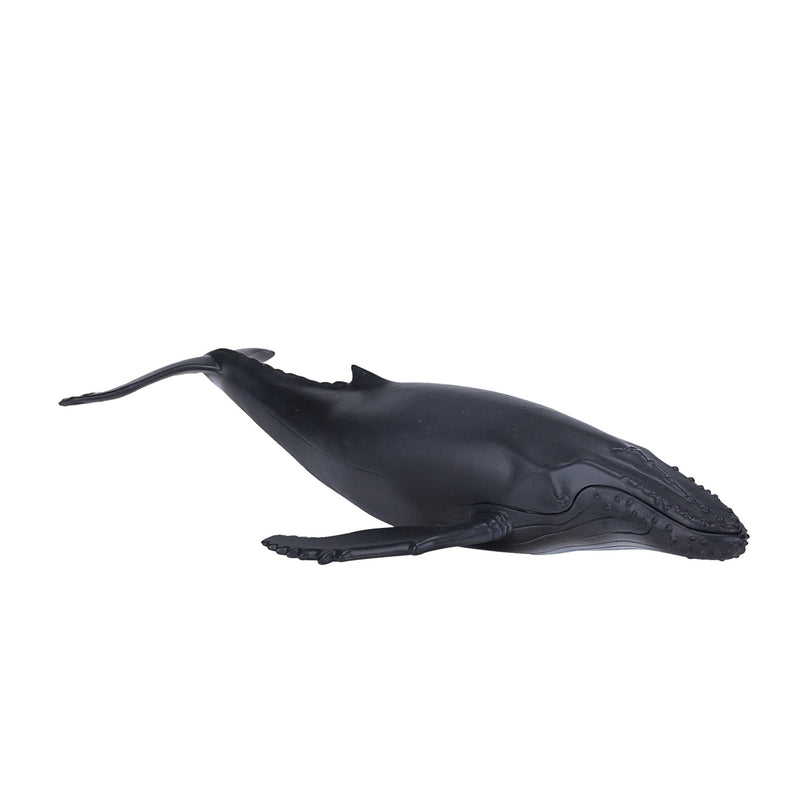 Load image into Gallery viewer, Mojo sealife bultrug - 387119