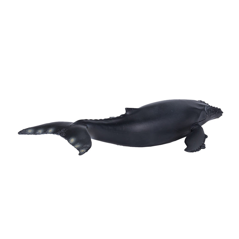 Load image into Gallery viewer, Mojo sealife bultrug - 387119