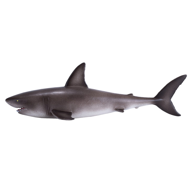 ギャラリービューアに画像をロードする, Mojo sealife grote witte haai - 381012