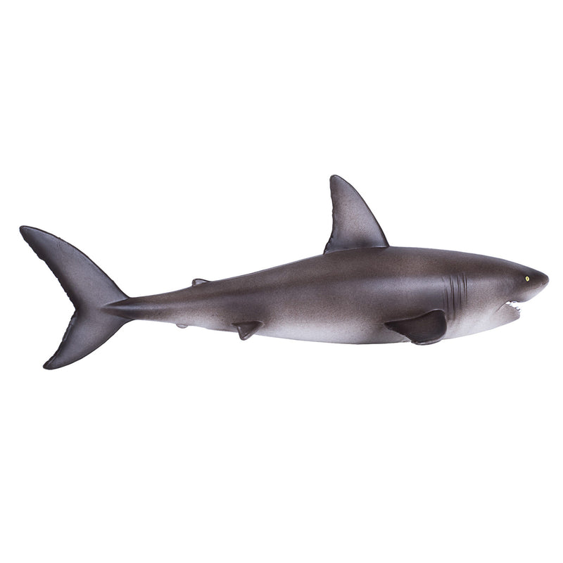 ギャラリービューアに画像をロードする, Mojo sealife grote witte haai - 381012