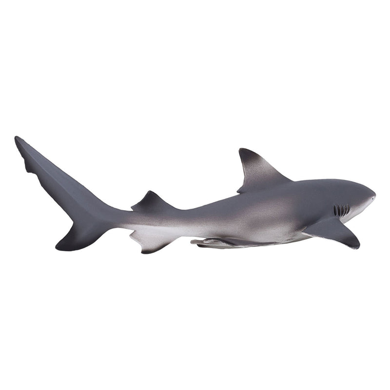 Load image into Gallery viewer, Mojo sealife zwartpuntrifhaai 387357