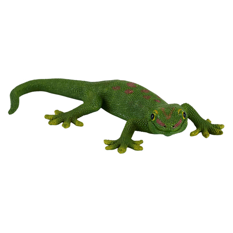ギャラリービューアに画像をロードする, Mojo wildlife gecko - 381078
