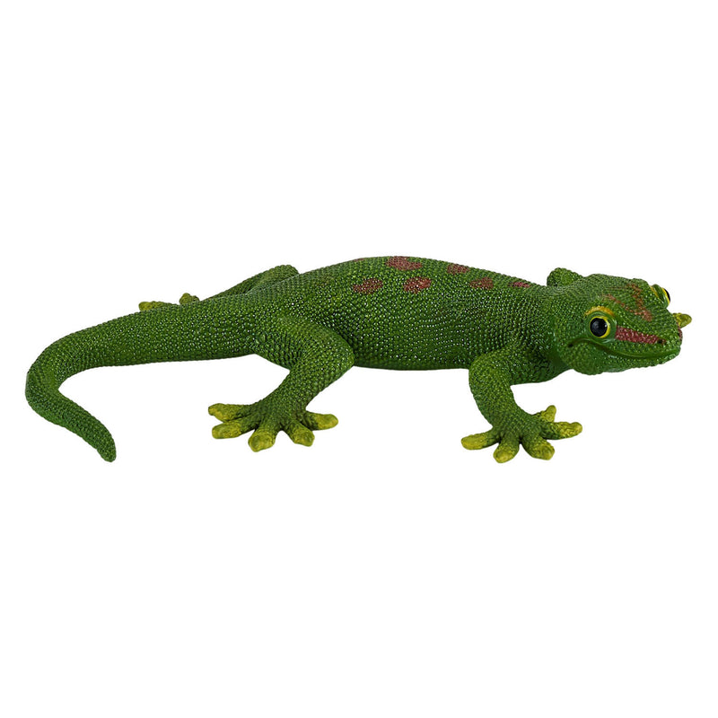 ギャラリービューアに画像をロードする, Mojo wildlife gecko - 381078