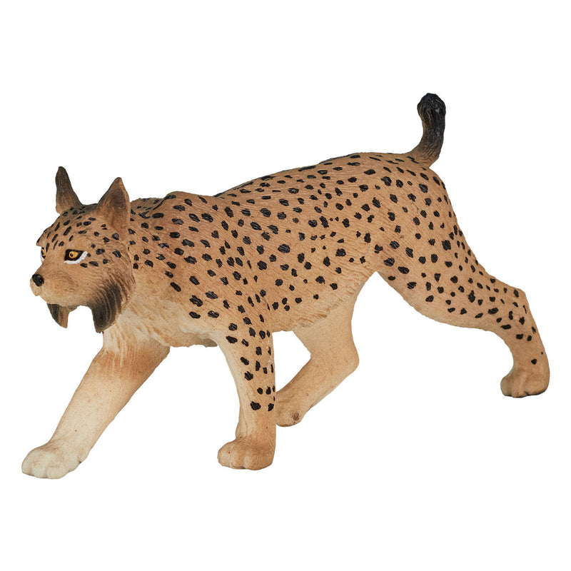 ギャラリービューアに画像をロードする, Mojo wildlife iberische lynx - 387064