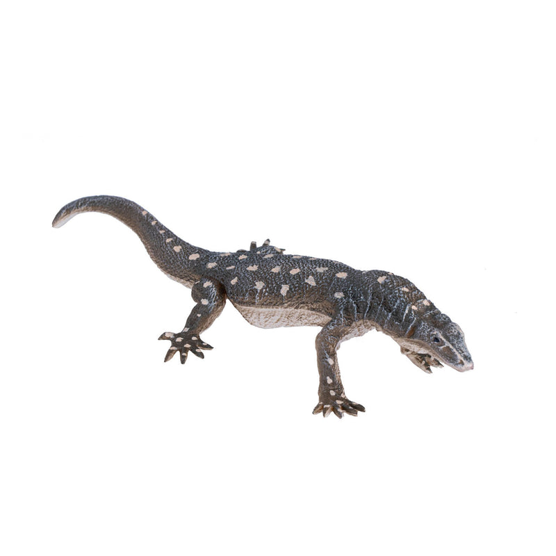 Afbeelding laden in galerijviewer, Mojo wildlife perentie hagedis - 381061