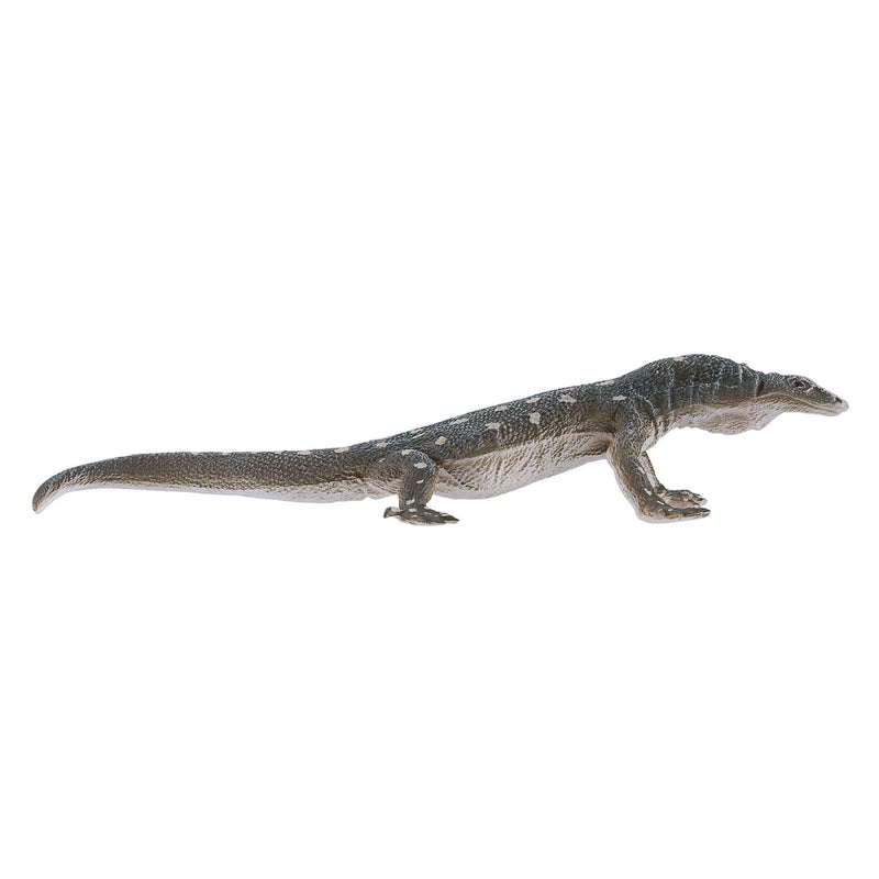 Afbeelding laden in galerijviewer, Mojo wildlife perentie hagedis - 381061
