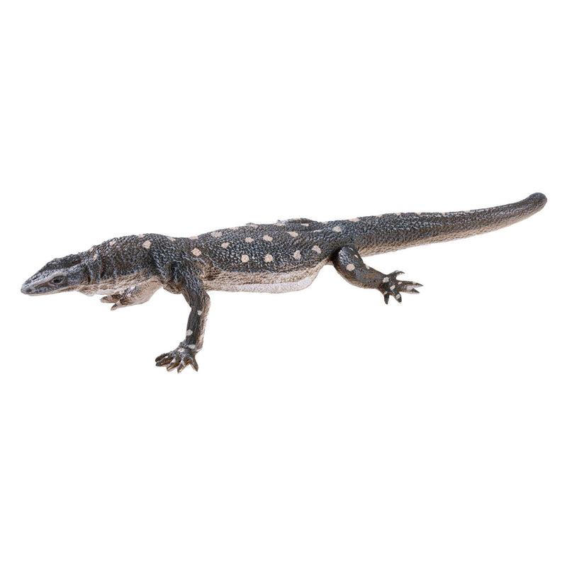 Afbeelding laden in galerijviewer, Mojo wildlife perentie hagedis - 381061