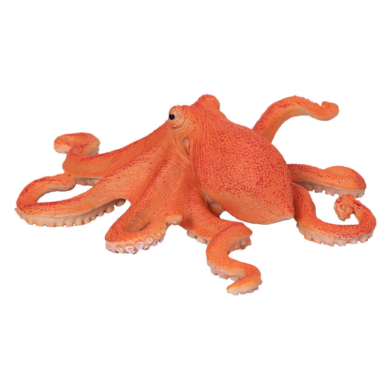 ギャラリービューアに画像をロードする, Mojo sealife octopus - 381036