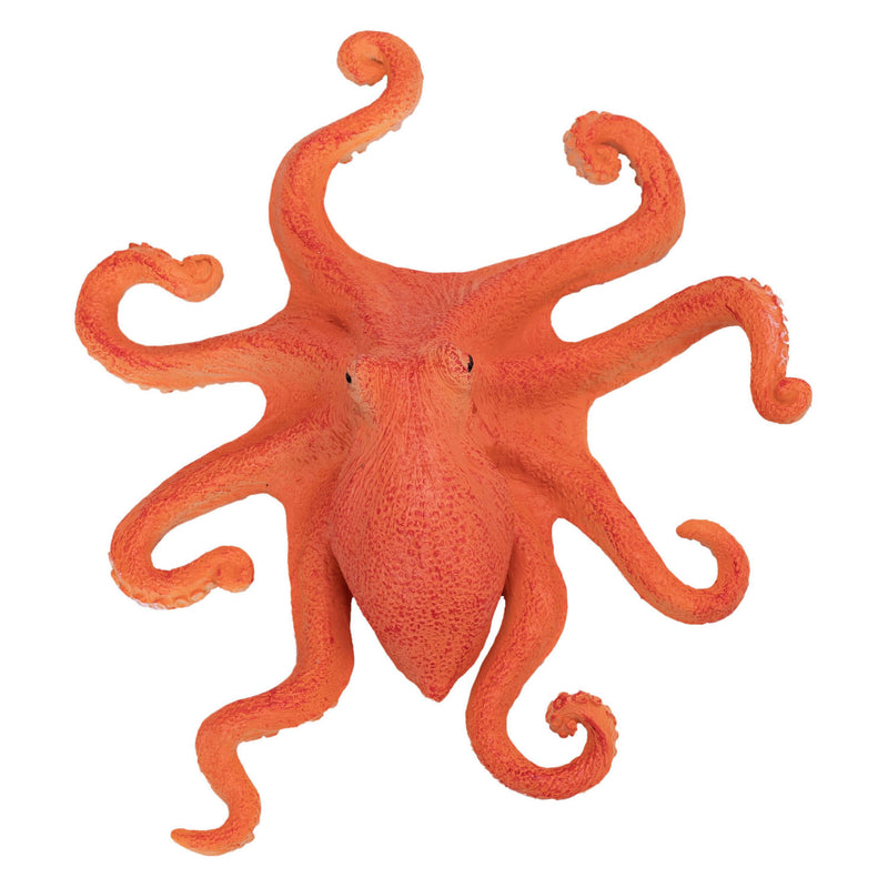 ギャラリービューアに画像をロードする, Mojo sealife octopus - 381036