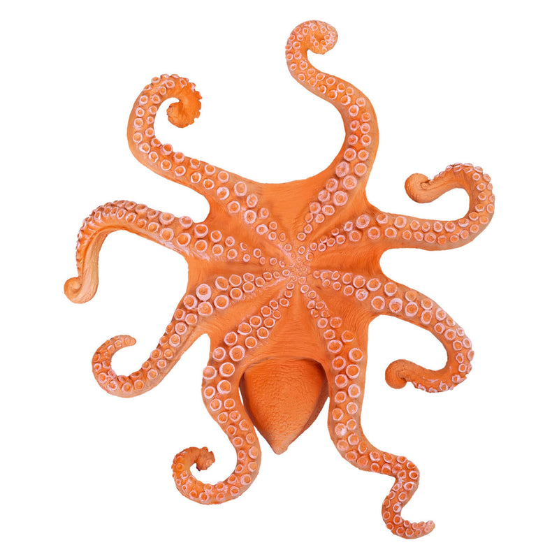 ギャラリービューアに画像をロードする, Mojo sealife octopus - 381036