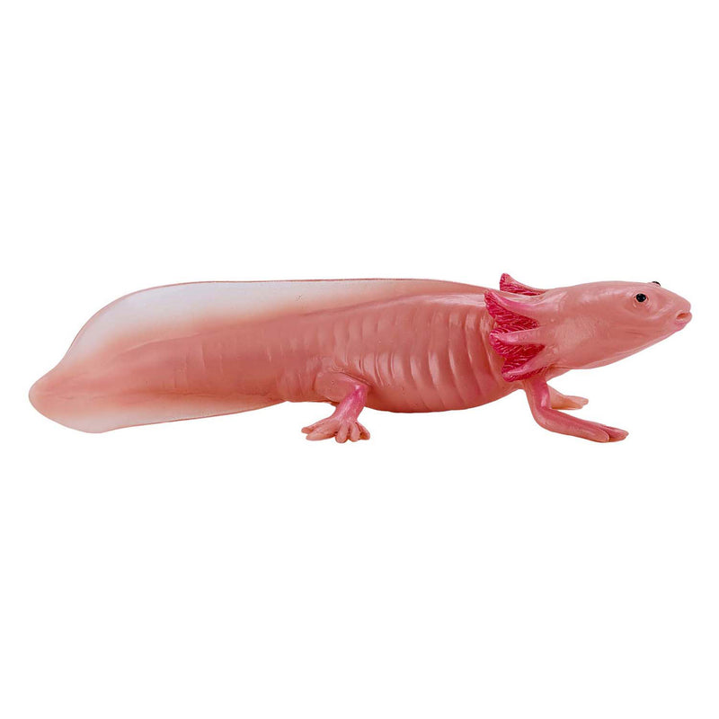 Afbeelding laden in galerijviewer, Mojo wildlife axolotl 381108