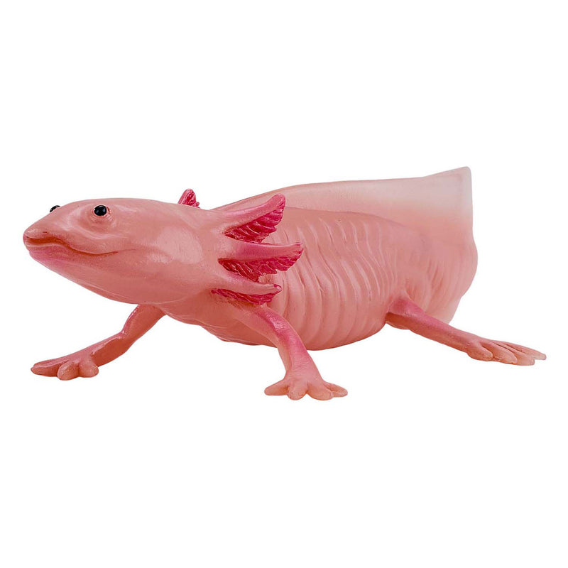 Afbeelding laden in galerijviewer, Mojo wildlife axolotl 381108
