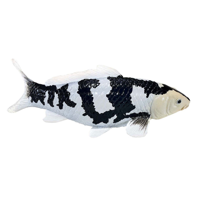 Afbeelding laden in galerijviewer, Mojo sealife koi karper - shiro utsuri koi - 381102