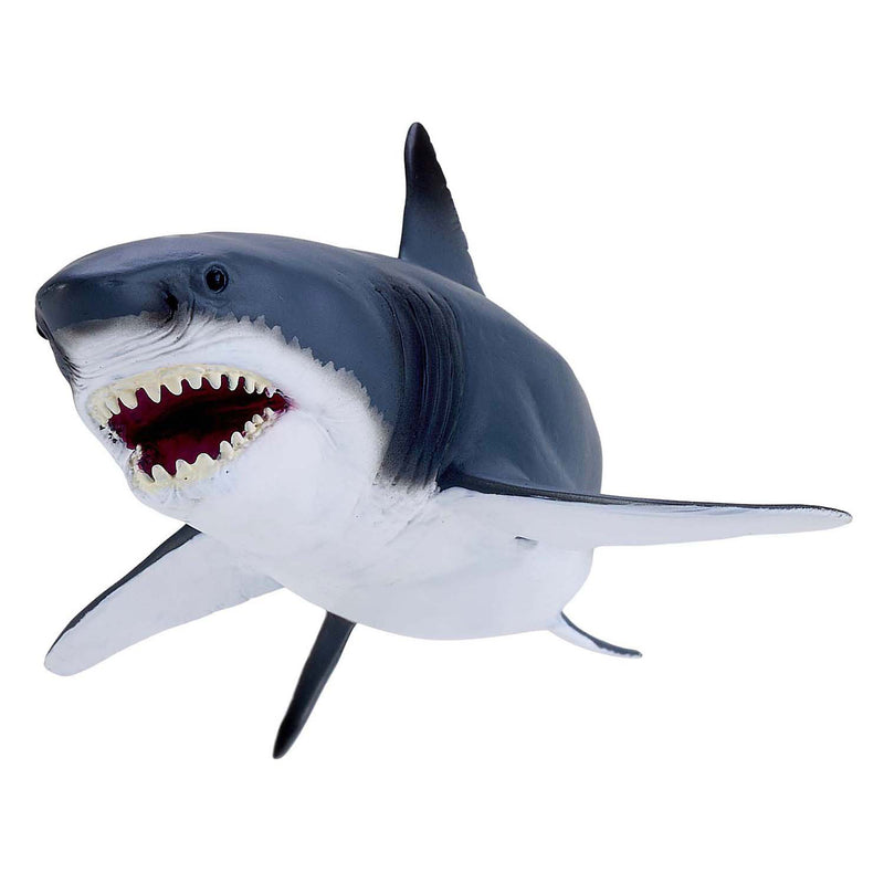 ギャラリービューアに画像をロードする, Mojo sealife witte haai - 381109