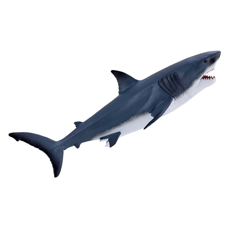 ギャラリービューアに画像をロードする, Mojo sealife witte haai - 381109