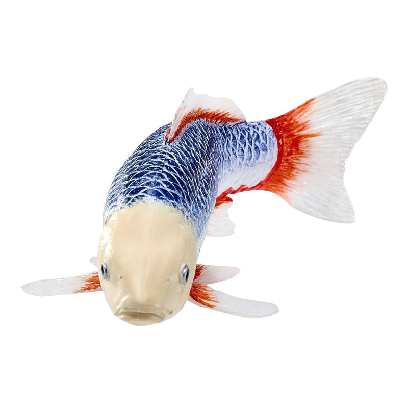 ギャラリービューアに画像をロードする, Mojo koi collection - asagi koi blauw rood 381118