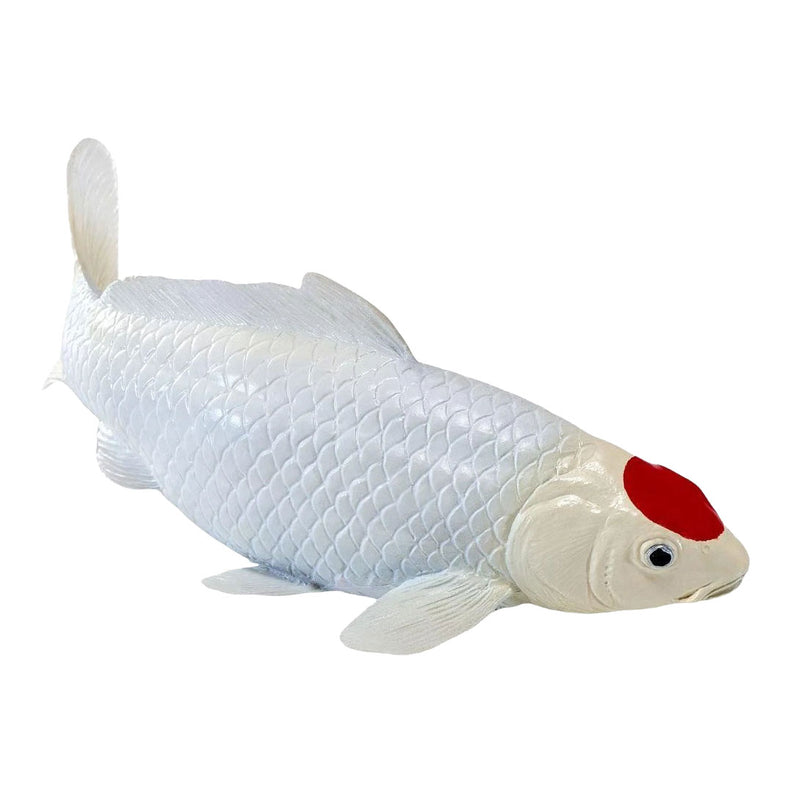 ギャラリービューアに画像をロードする, Mojo koi collection - tancho koi rode stippen 381119