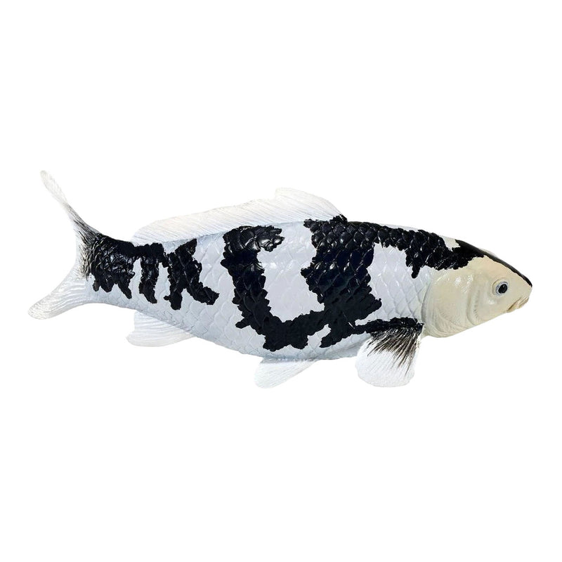ギャラリービューアに画像をロードする, Mojo koi collection - shiro utsuri koi zwart wit 381120