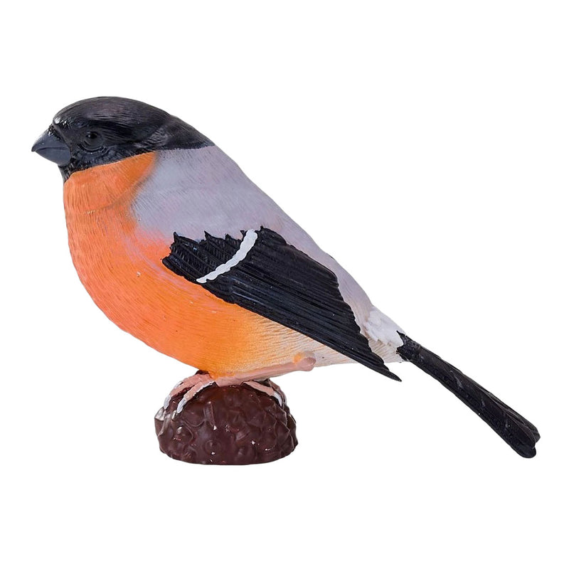 ギャラリービューアに画像をロードする, Mojo garden birds goudvink 381127