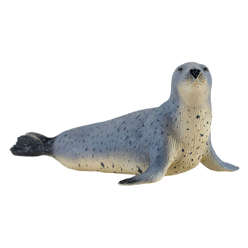 ギャラリービューアに画像をロードする, Mojo grijze zeehond - 381134