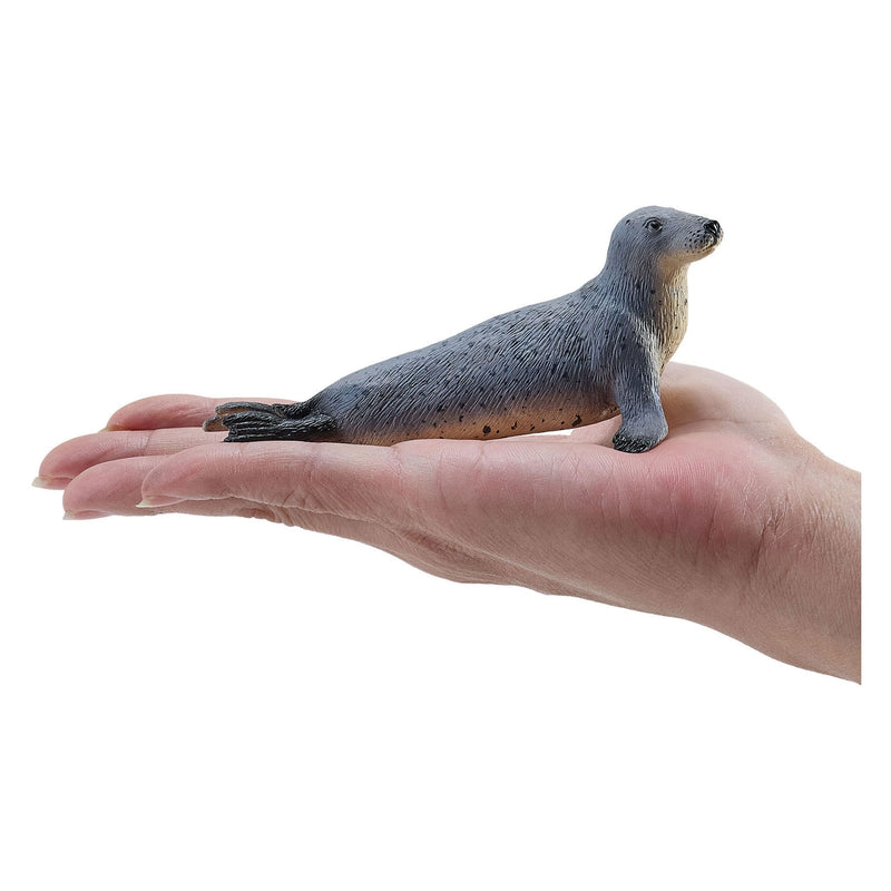 ギャラリービューアに画像をロードする, Mojo grijze zeehond - 381134
