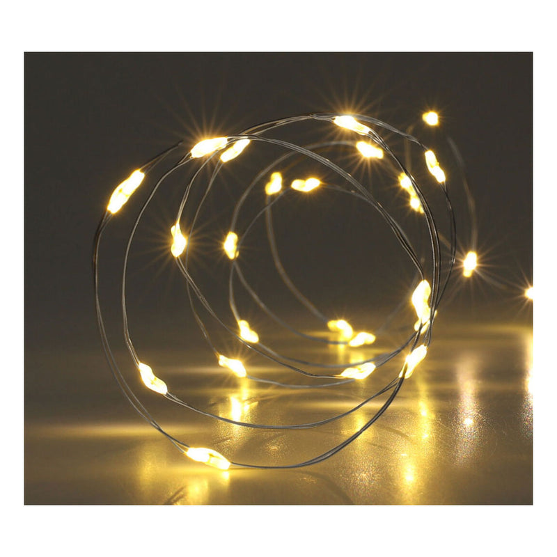 Load image into Gallery viewer, Zilverdraad 40led warm white, 195cm