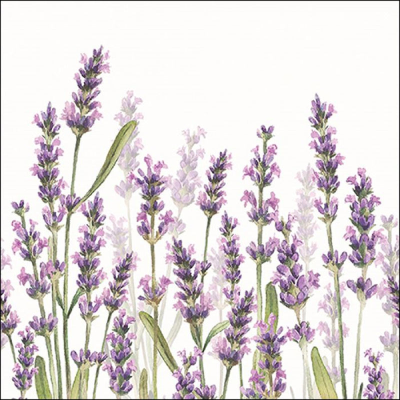 Afbeelding laden in galerijviewer, Ambiente servetten lavender shades white 25x25cm