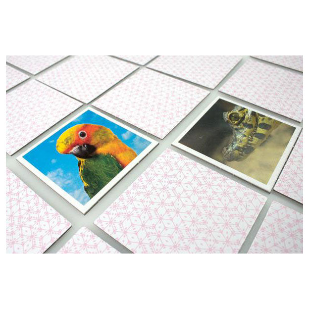 Load image into Gallery viewer, Tactic babydieren memo