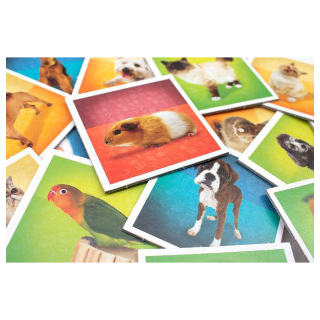 Load image into Gallery viewer, Tactic huisdieren memo