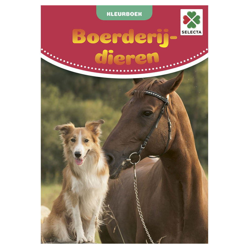 Load image into Gallery viewer, Tactic kleurboek boerderijdieren