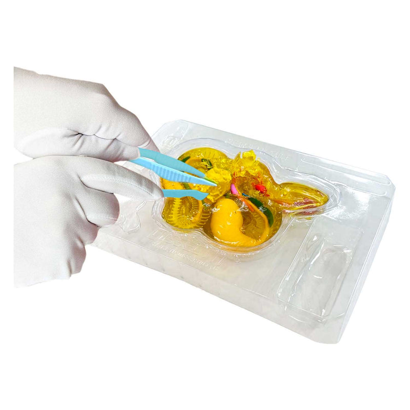 Load image into Gallery viewer, Dissect-it ontleed een ratelslang mega giftbox