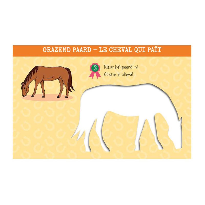 Load image into Gallery viewer, Deltas sjabloonkaarten zo teken je paarden