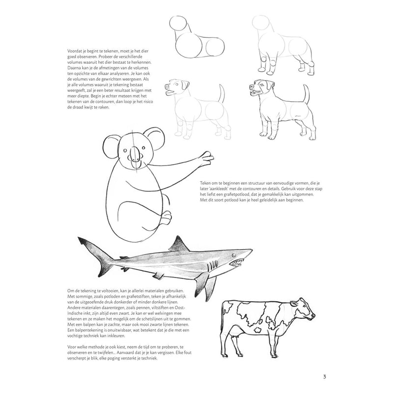 Load image into Gallery viewer, Deltas stap voor stap dieren leren tekenen