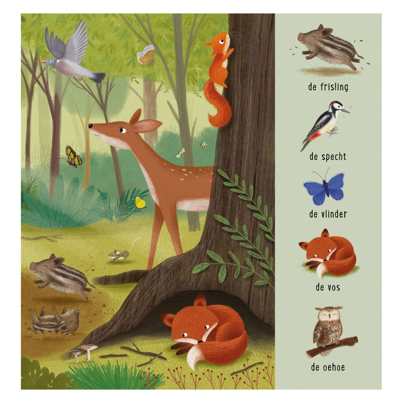 Load image into Gallery viewer, Deltas mijn eerste zoekboek - dieren in het bos