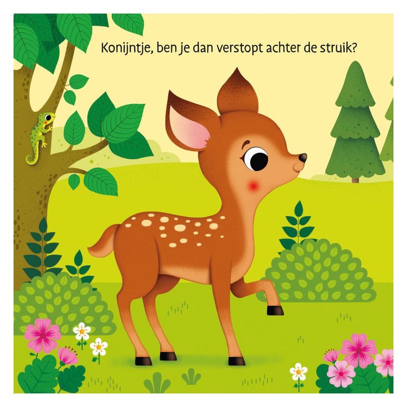 Load image into Gallery viewer, Deltas waar is het konijntje? flapjesboek