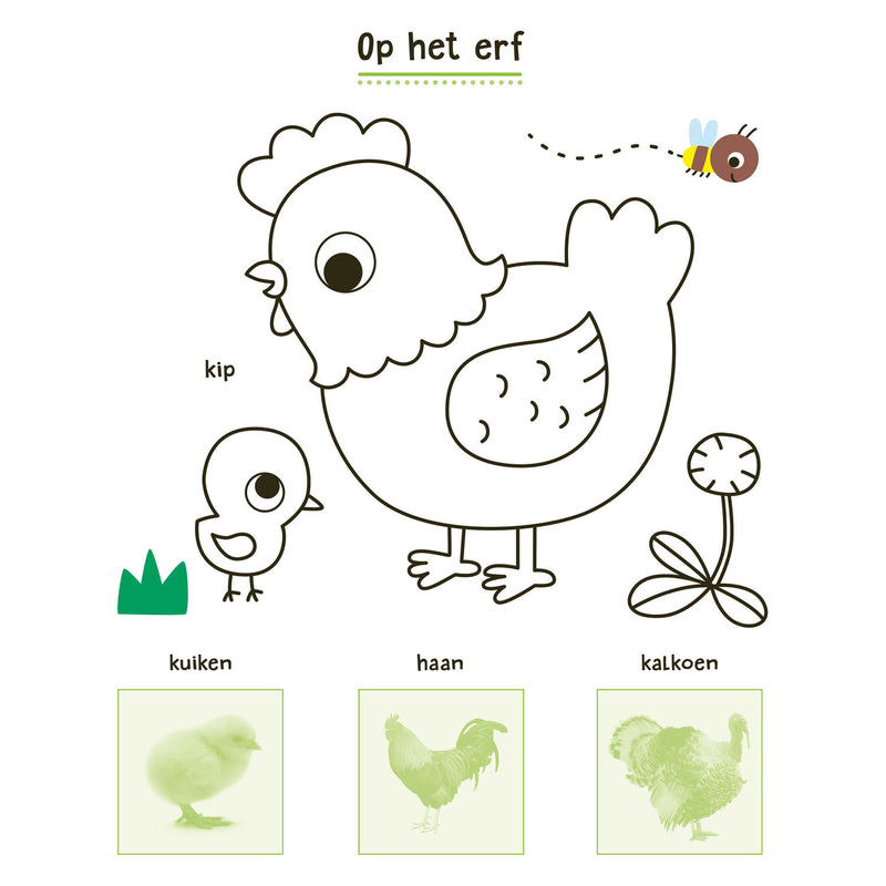 Load image into Gallery viewer, Deltas mijn dieren stickerboek
